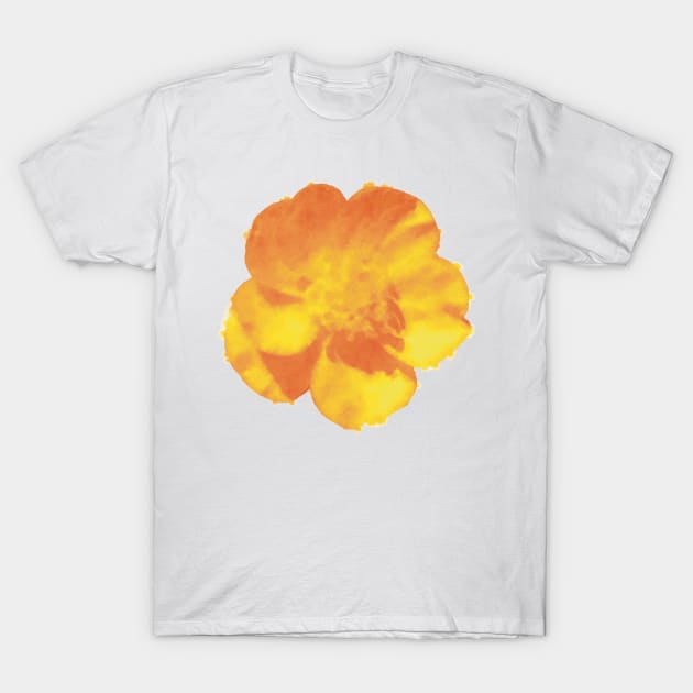 Golden Buttercup Flower T-Shirt by Griffelkinn